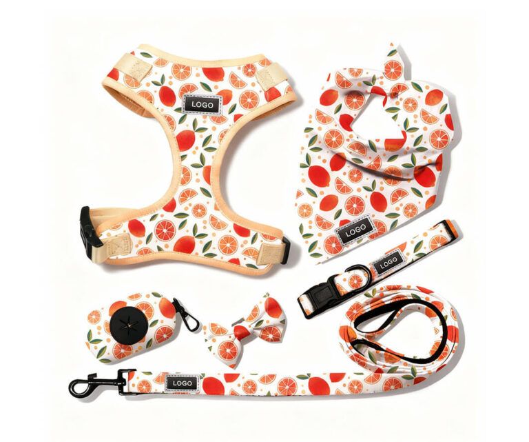 Dog harness set
