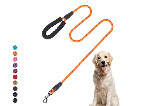 Round nylon dog leash