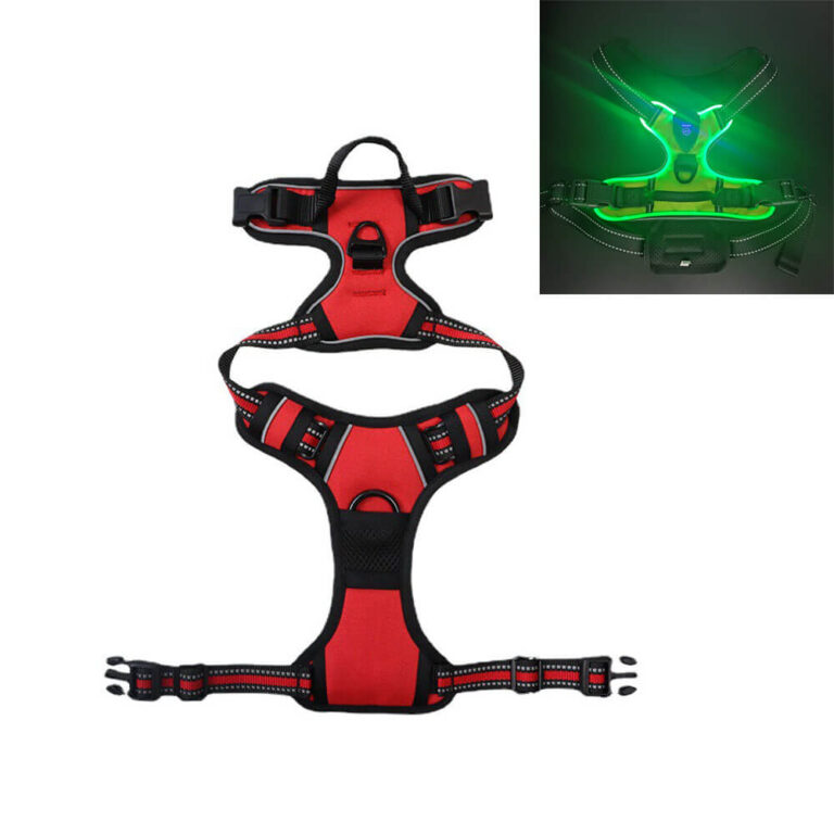 LED Type-C Dog Harness