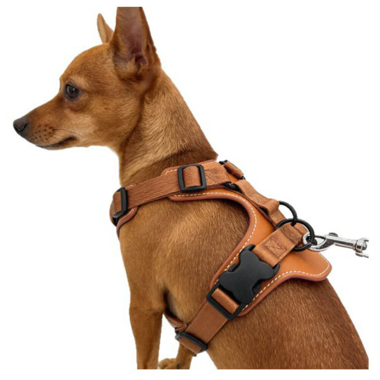PU Leather Dog Harness