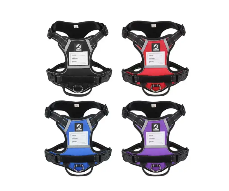 Patent-No-pull-Dog-Haress