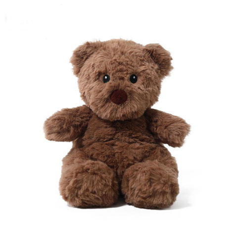 Squeaky Bear Plush Toy